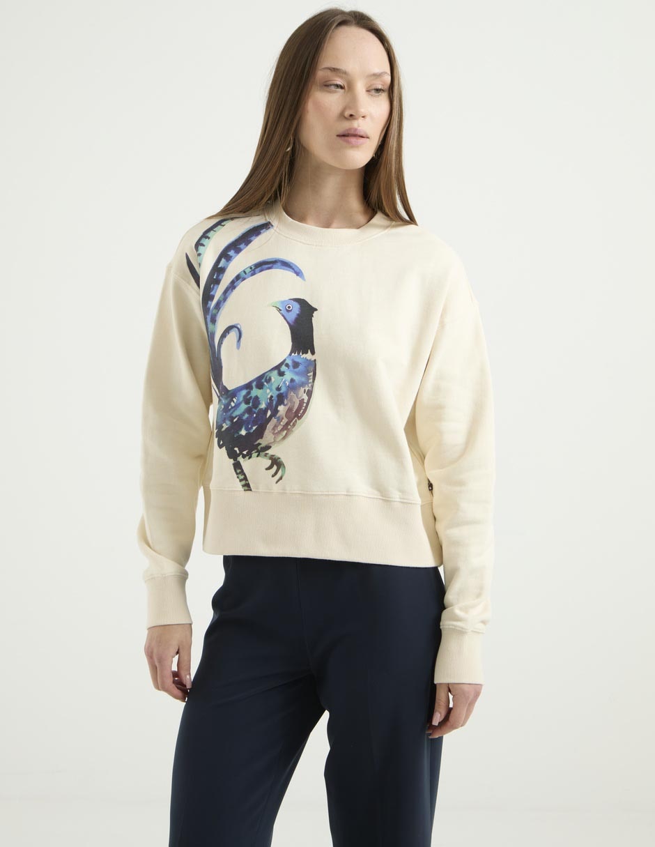 Suéter Scotch & cuello redondo para mujer